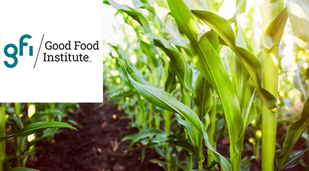 Un champ de blé jeune avec le logo du Good Food Institute en surimpression.