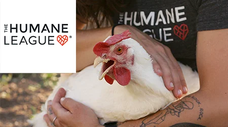 Poule caressée dans les bras d'un membre de The Human League