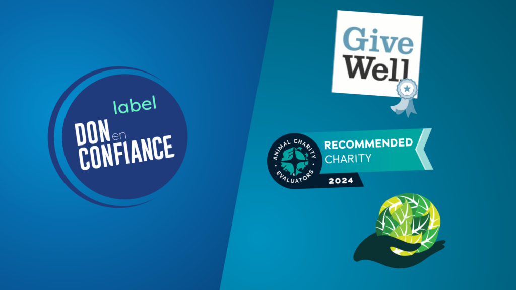 Logo Don en Confiance, logo de GiveWell, Animal Charity Evaluators et Giving Green