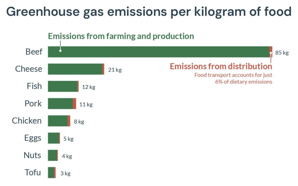Bar chart showing greenhouse gas emissions per kilogram of various foods. Each food item is split into two bars: green for emissions from farming and production, and red for emissions from distribution. Beef has the highest total emissions at 85 kg CO₂e per kg, followed by cheese (21 kg), fish (12 kg), pork (11 kg), chicken (8 kg), eggs (5 kg), nuts (4 kg), and tofu (3 kg). The red distribution bars are small, highlighting that food transport accounts for only 6% of dietary emissions.