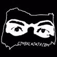Gimbalninja