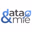 data&mie